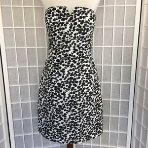 Max and Cleo Black & White Strapless Floral Dress